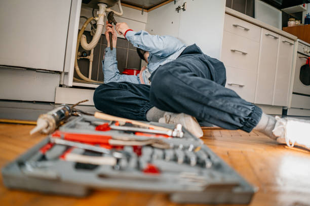 Best Clogged Drain Plumber  in Ly Lake, IL