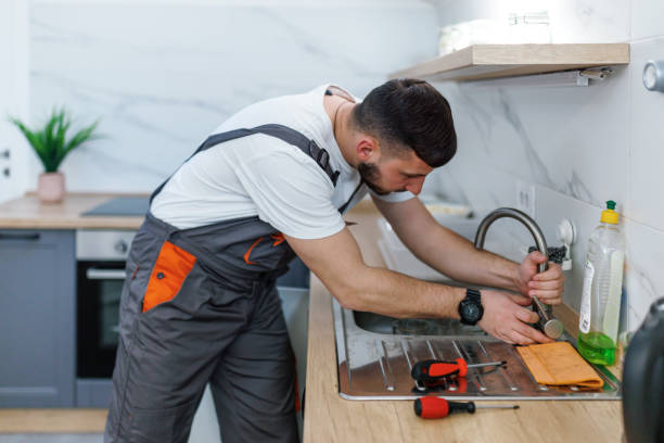 Best Plumbing Services Near Me  in Ly Lake, IL