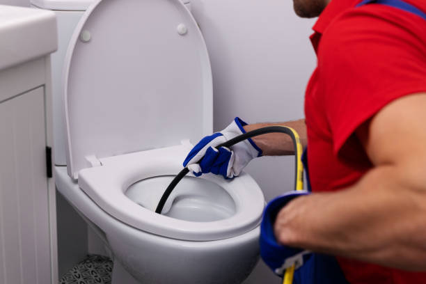 Best Plumbing Inspection Services  in Ly Lake, IL