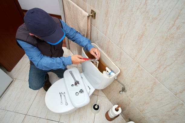 Best Clogged Drain Plumber  in Ly Lake, IL