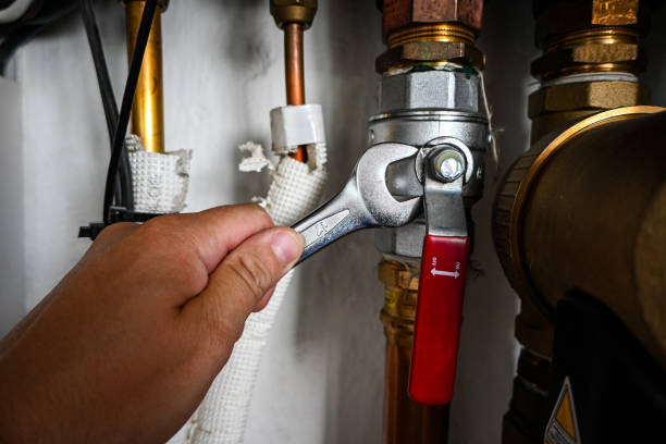 Best Leak Detection Services  in Ly Lake, IL